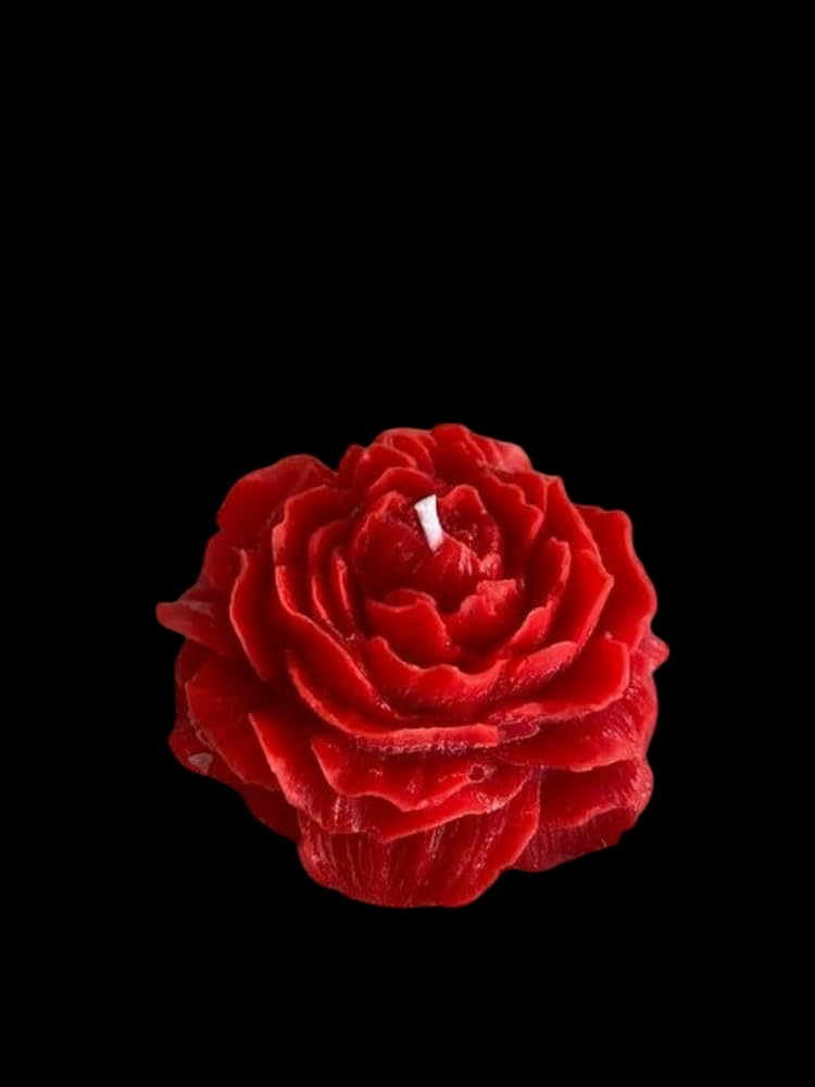 Sorcish Luxe Red Scented Flower Set of 6 (Red)