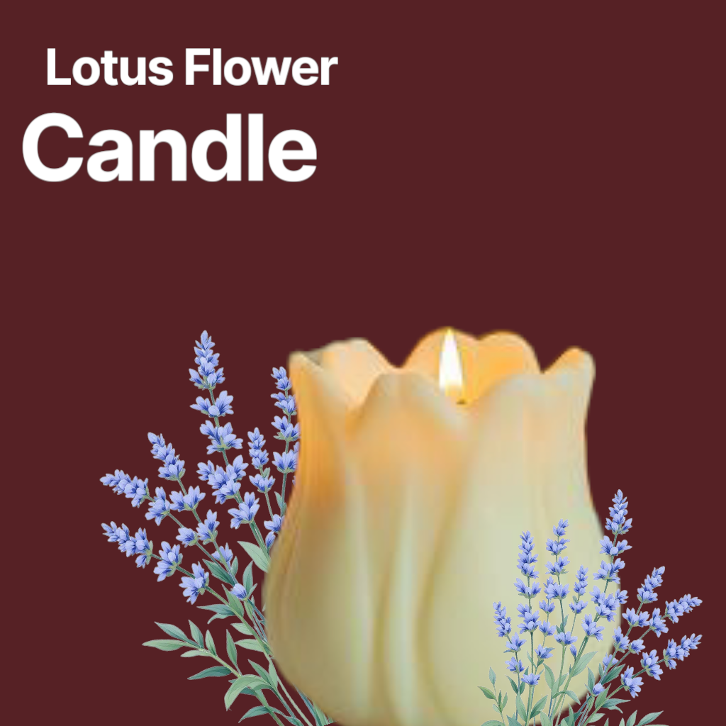 Sorcish lotus flower candle buy 1 get 1 free