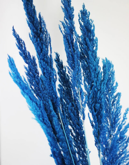 Sorcish Blue Pampas Grass , Large, Natural Dried 6 Stick 25 inch Size Aprx.