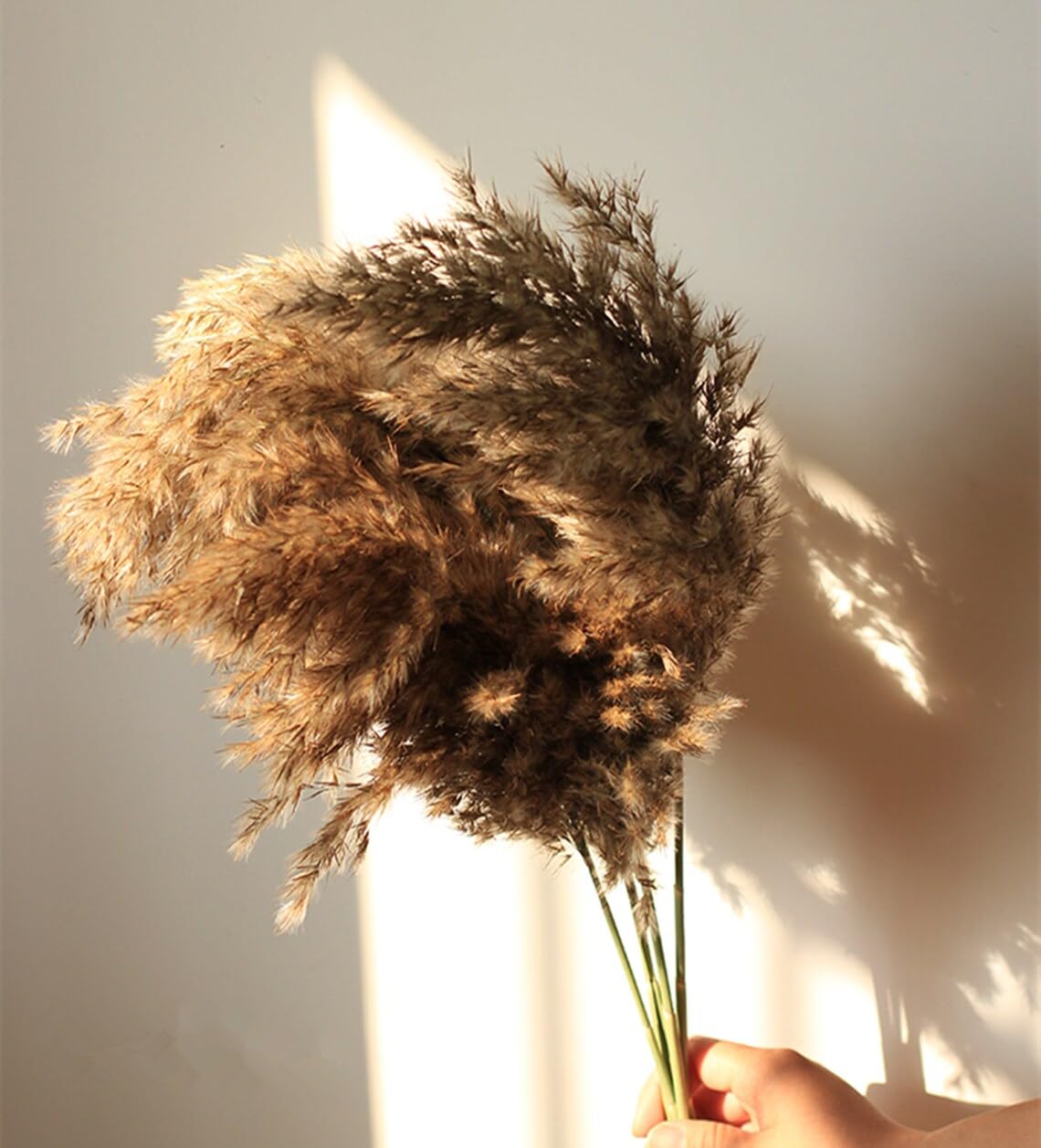 6 PCS Sorcish 100% Natural Fluffy Dried Pampas Grass 6 Small Stick pcs for Small Pot/ Container
