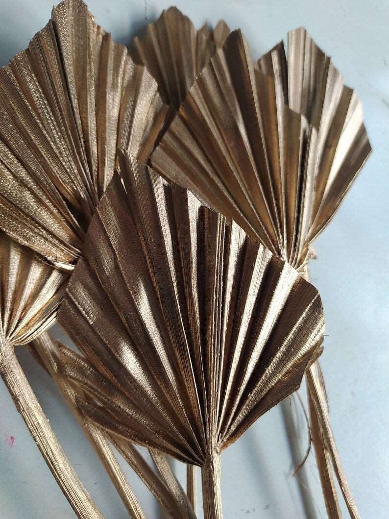 "Sorcish Gold Palm Spear Leaves, Gold Palm Leaves, Palm Spear Dried, Gold Dried Leaves, Dried Palm Leaves, Natural Palm Leaves, Golden Decor"