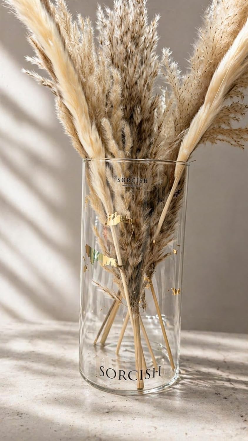 Premium Dried Pampas Grass with Boro Silicate Glass Vase (Pack of 6 Stems) | Natural Boho Decor for Home, Living Room, Office | Luxury Decorative Floral Arrangement