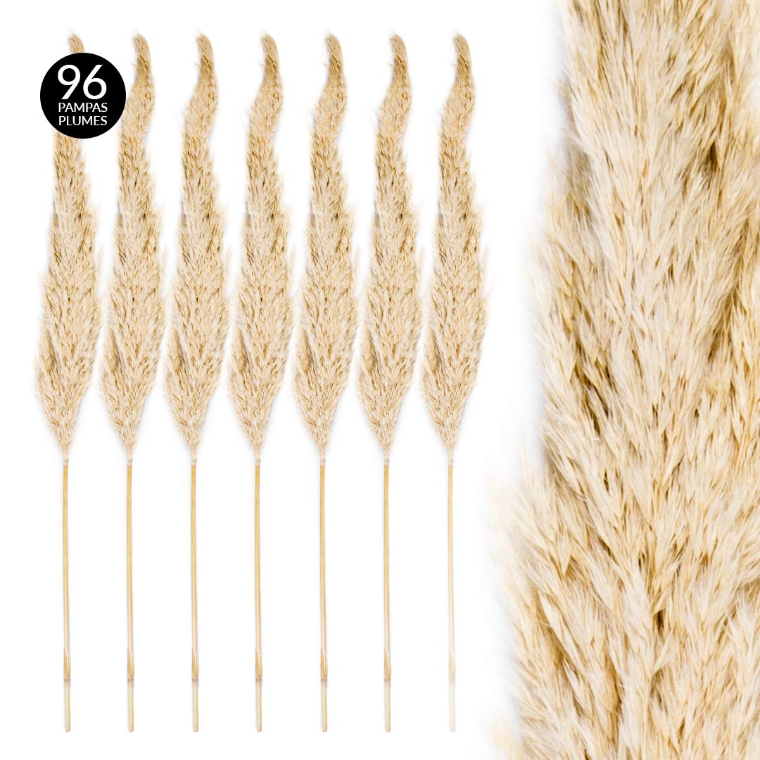 Natural Brown Dried Pampas Grass (2 PCS) – Boho Decorative Pampas Stems for Vase Décor, Living Room, Wedding & Minimalist Home Styling