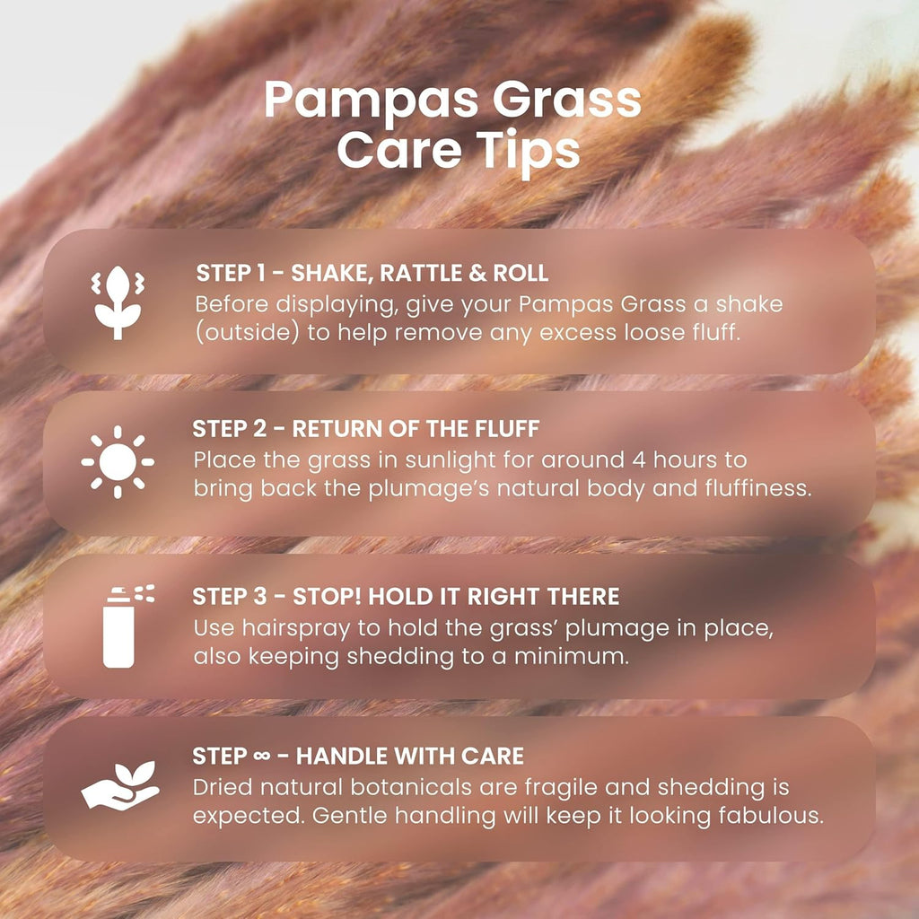 Sorcish Coral Red Pampas Grass