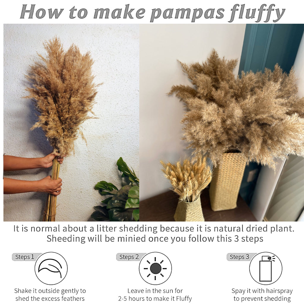 pampas grass