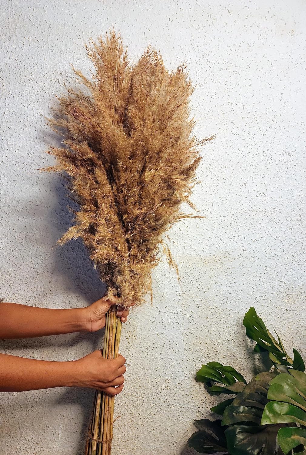 Sorcish Natural Dried Pampas Grass 6 pcs BrownLarge 2.8 Feet Tall Dried Flowers Bunch|Fluffy Grass for Donut Vase Stems Plant Floor Vase Filler for Home Decor,Office,Bedroom,Table Corner Decoration