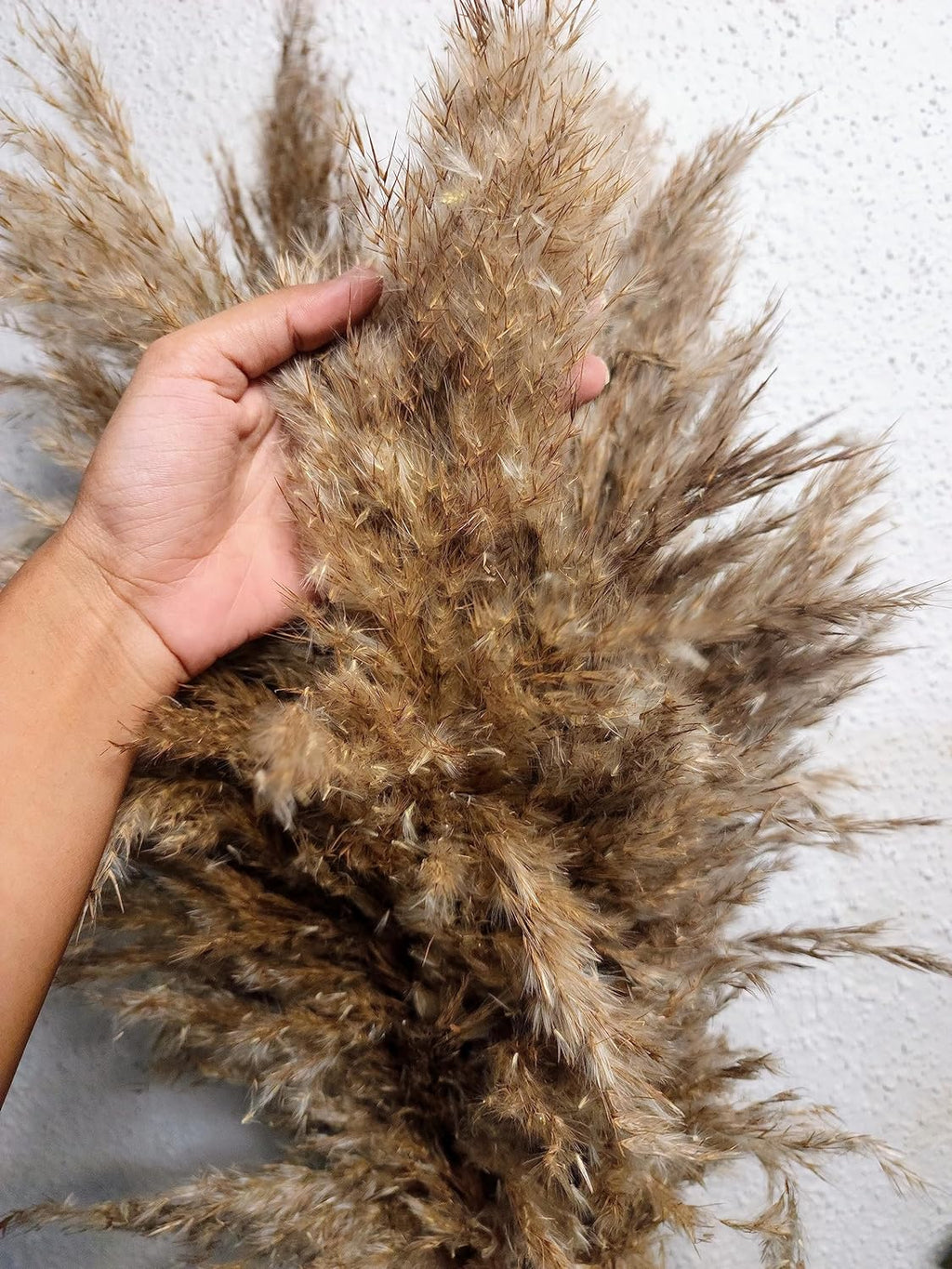 Sorcish Natural Dried Pampas Grass 6 pcs BrownLarge 2.8 Feet Tall Dried Flowers Bunch|Fluffy Grass for Donut Vase Stems Plant Floor Vase Filler for Home Decor,Office,Bedroom,Table Corner Decoration