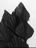 Boho Black Dried Palm Spear Leaves 3-Pack - Premium Home Decor Dried Botanicals India