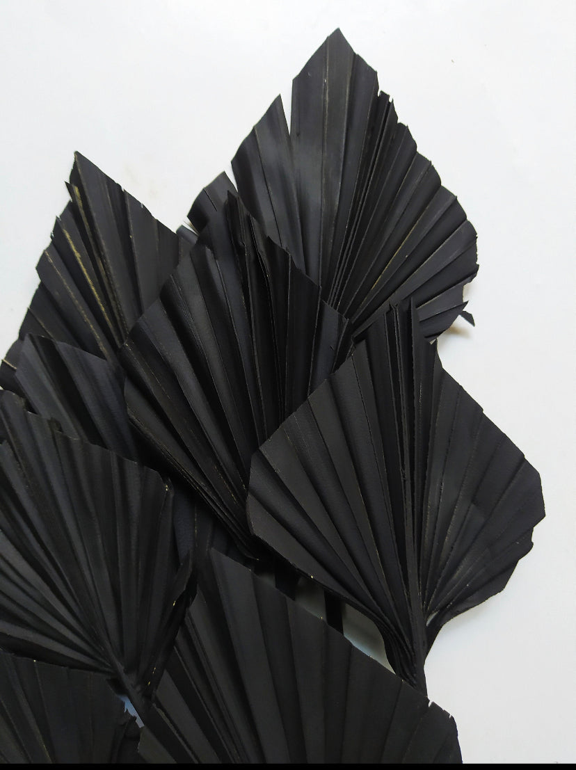 Boho Black Dried Palm Spear Leaves 3-Pack - Premium Home Decor Dried Botanicals India