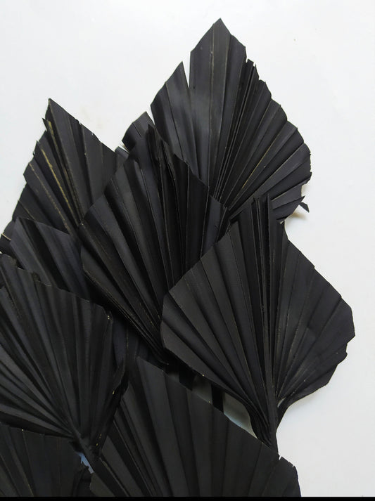 3X Boho Black Dried Palm Spear Leaves ,Black Colour/ Boho Decor, Dried vase Flowers, Palm Leaf, Palm Decor, (Gold)