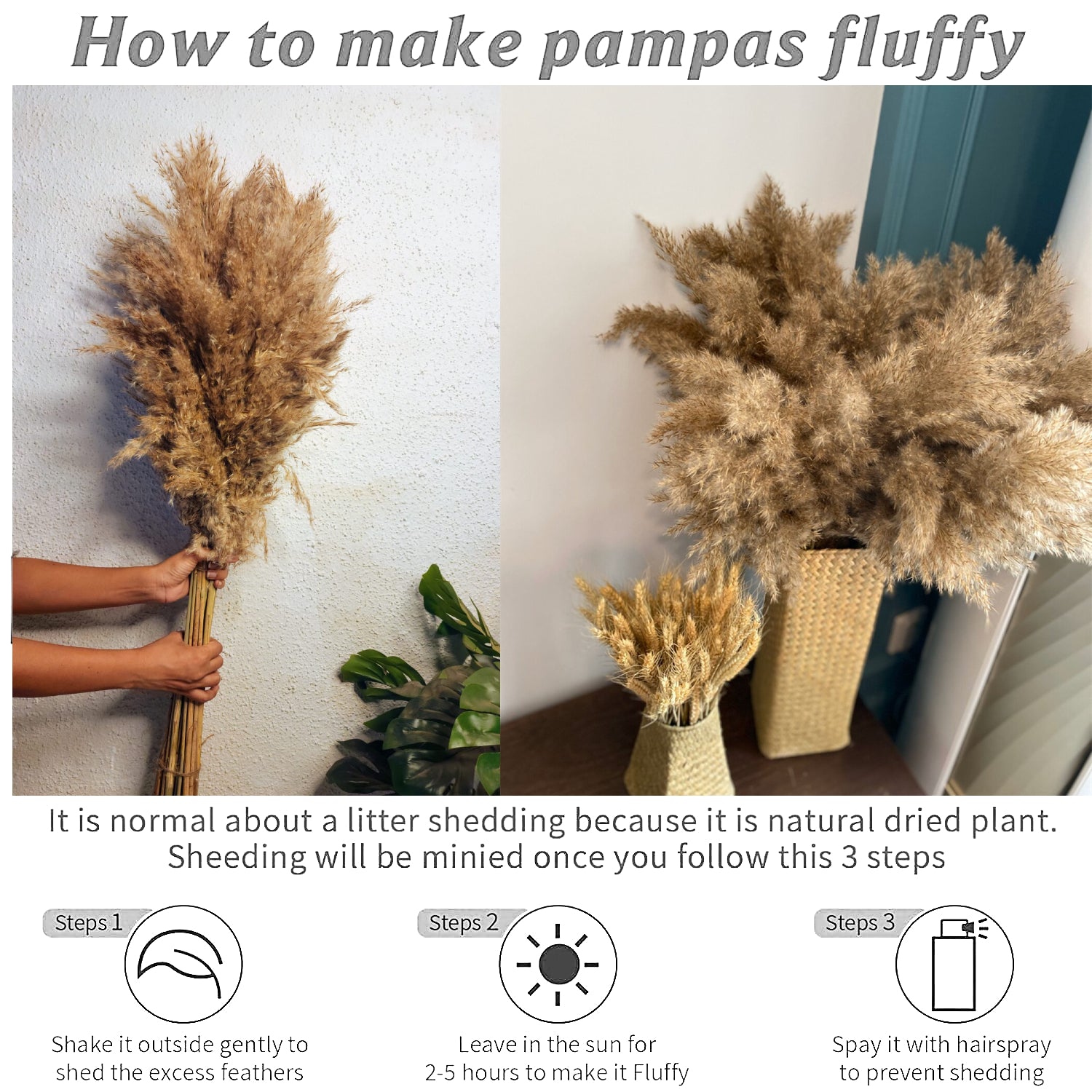 pampas grass