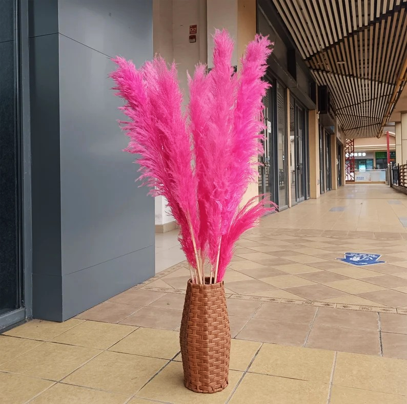 Flamingo Pink Pampas Grass Large 6-Stick - Luxury Dried Flower Arrangement India