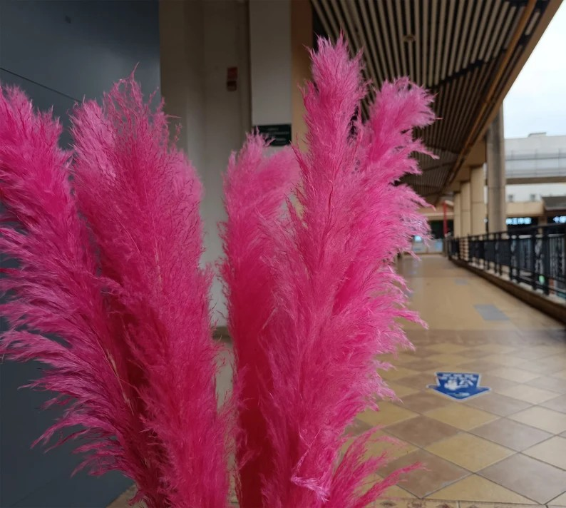 Flamingo Pink Pampas Grass Large 6-Stick - Luxury Dried Flower Arrangement India