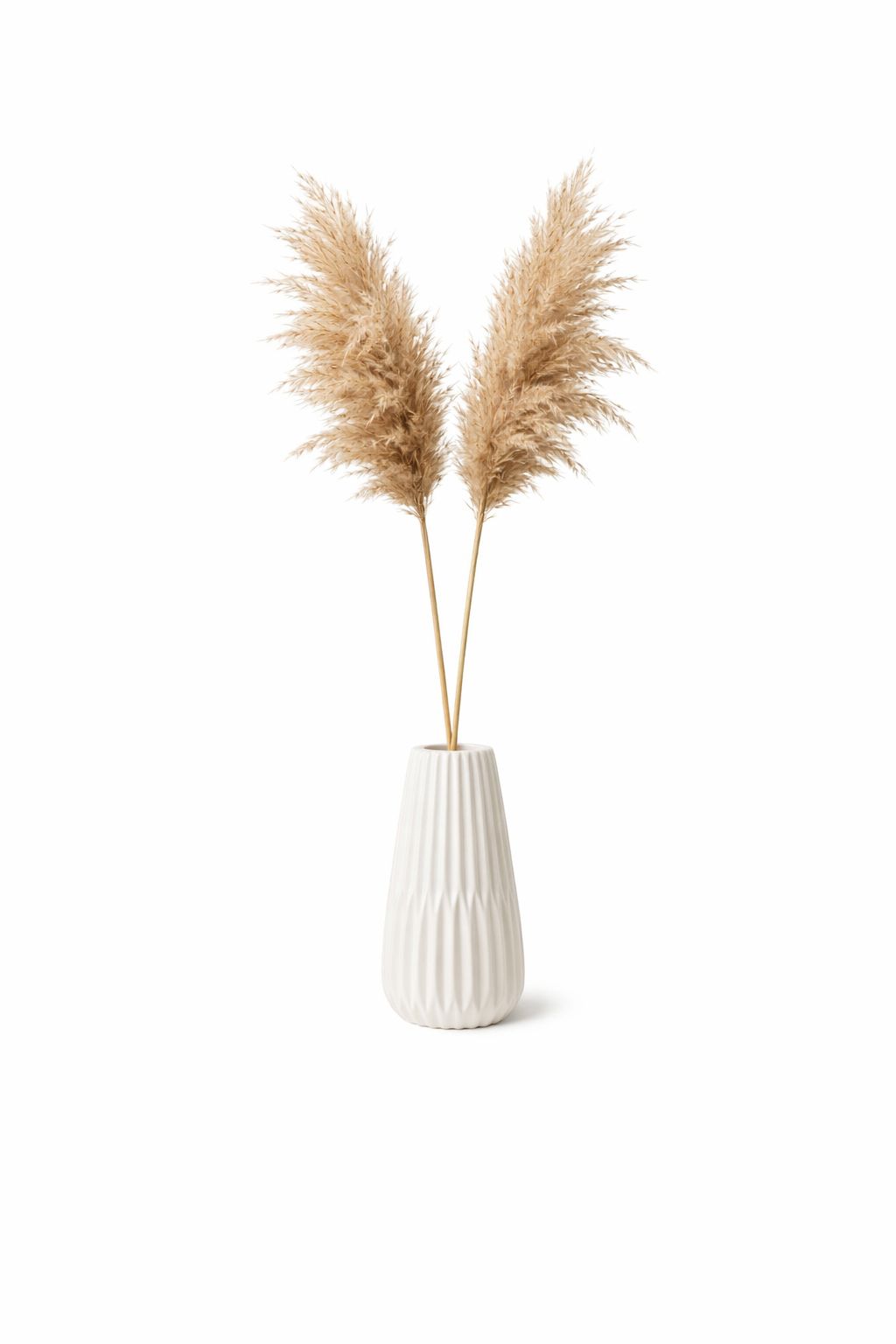 Natural Brown Dried Pampas Grass (2 PCS) – Boho Decorative Pampas Stems for Vase Décor, Living Room, Wedding & Minimalist Home Styling