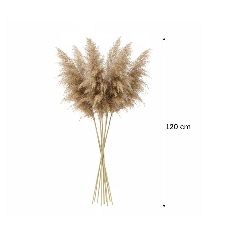 Natural Brown Dried Pampas Grass (2 PCS) – Boho Decorative Pampas Stems for Vase Décor, Living Room, Wedding & Minimalist Home Styling