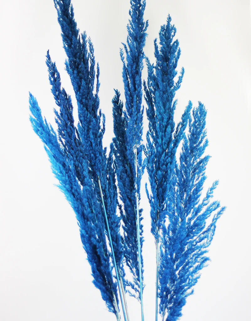 Blue Pampas Grass Large 6-Stick Bundle - Luxury Dried Flowers for Home Décor India