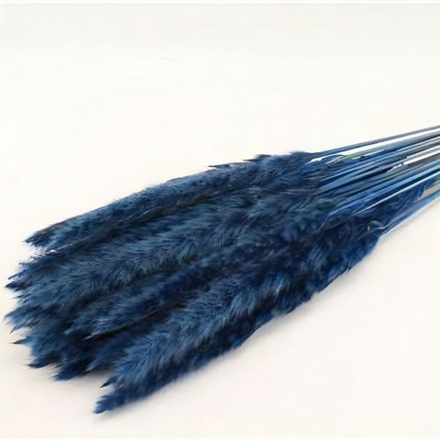 Blue Pampas Grass Large 6-Stick Bundle - Luxury Dried Flowers for Home Décor India