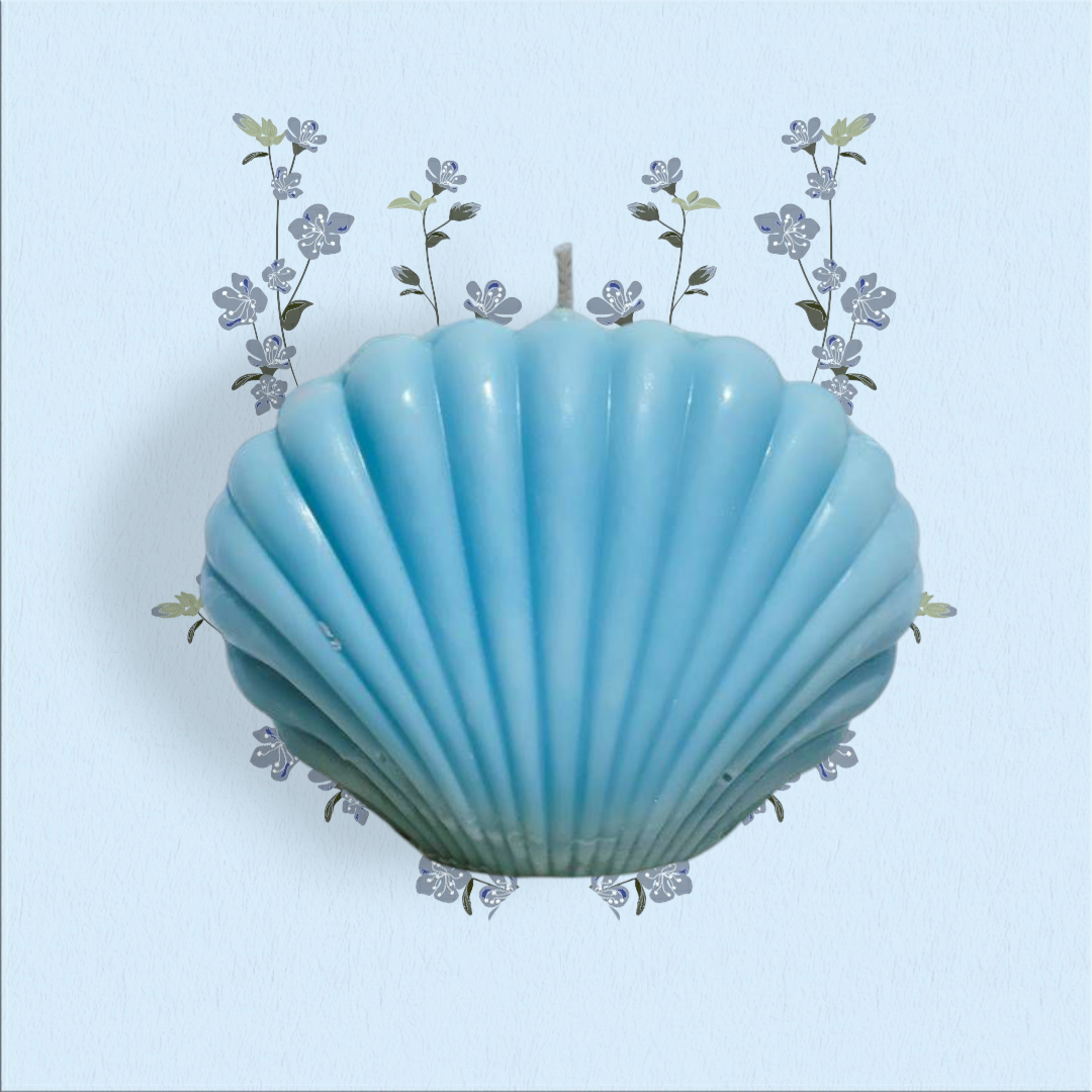 Seashell Candle Pack of 4