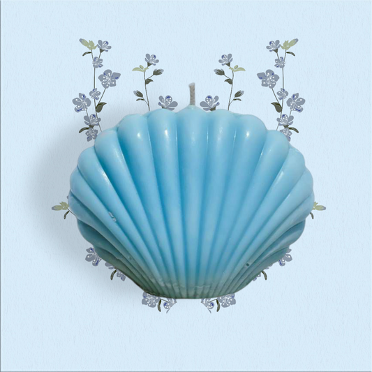 Seashell Candle Pack of 4