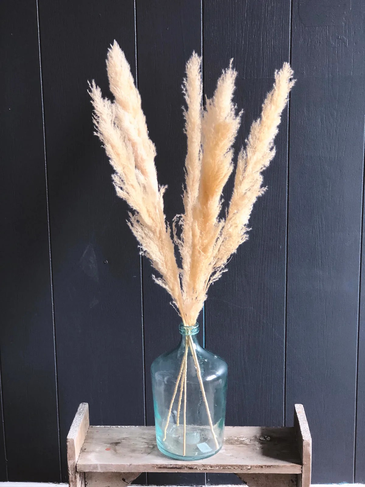 A bundle of natural off-white pampas grass in a clear glass vase, placed on a wooden surface against a dark background.