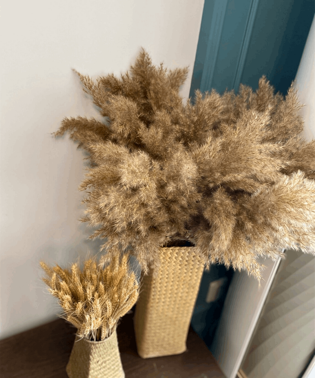 Sorcish Natural Dried Pampas Grass 6 pcs BrownLarge 2.8 Feet Tall Dried Flowers Bunch|Fluffy Grass for Donut Vase Stems Plant Floor Vase Filler for Home Decor,Office,Bedroom,Table Corner Decoration
