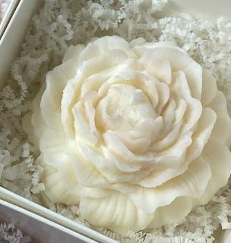 White Rose Peony Scented Flowers Set of 6