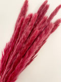 Coral Red Pampas Grass Bundle - Premium Dried Flowers for Luxury Home Decor India